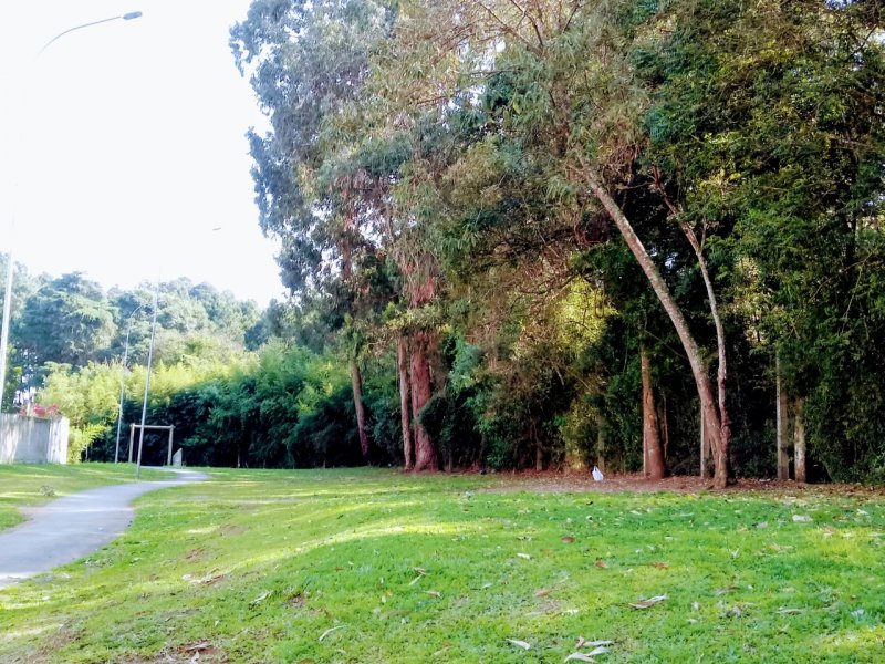 imóvel com 42m² - Cajuru - Curitiba