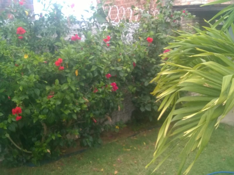 imóvel com 101m² - Lagoa Azul - Natal