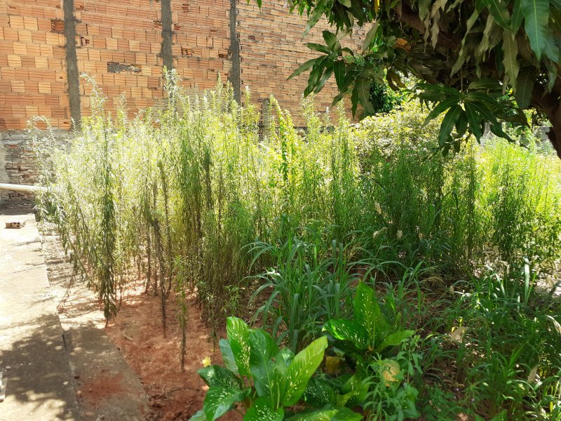 Casa à venda Vila Souto com 99m² e 2 quartos por R$ 260.000 - 825160196-20191231-1033301.jpg