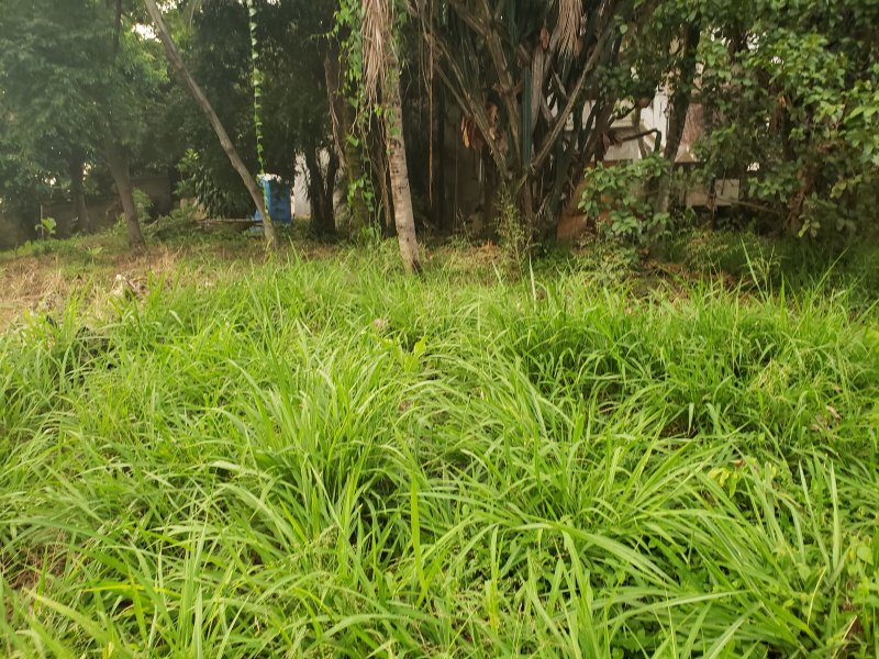 Terreno à venda Freguesia (Jacarepaguá) com 530m² e  quartos por R$ 700.000 - 690106348-20200106-180321.jpg