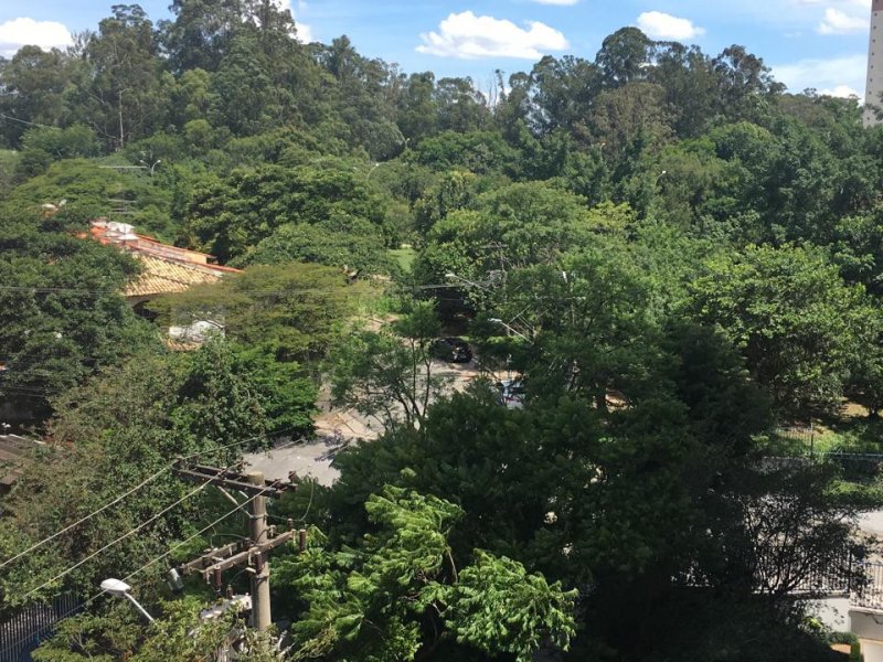 Apartamento à venda Jardim Ester Yolanda com 60m² e 2 quartos por R$ 330.000 - 131054328-87687772-9c72-4c91-9d6a-cce8b9260464.jpeg