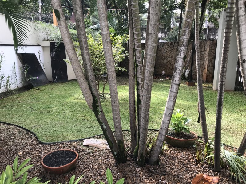 imóvel com 240m² - Mooca - São Paulo