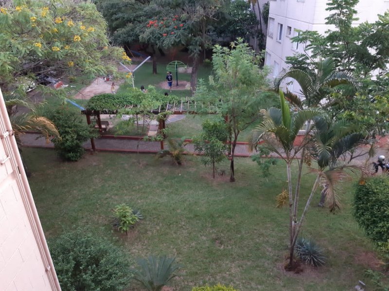 Apartamento à venda Vila Mimosa com 74m² e 3 quartos por R$ 280.000 - 107262655-img-20200109-wa0020.jpg