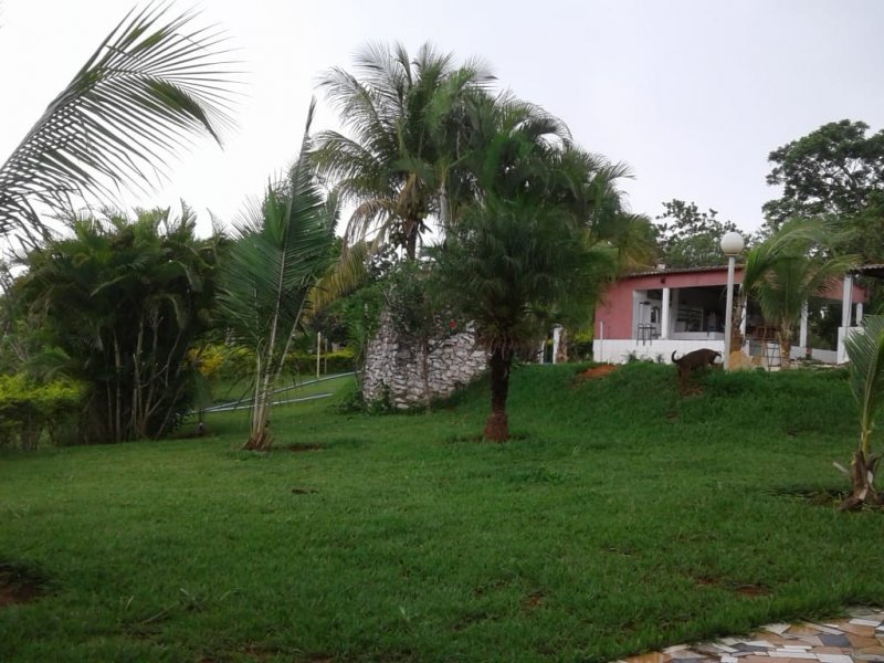 Chácara à venda Centro com 14m² e 2 quartos por R$ 400.000 - 1077218717-whatsapp-image-2019-12-04-at-17.jpeg