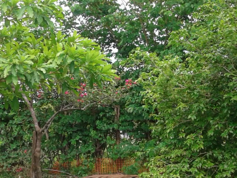 Chácara à venda Centro com 14m² e 2 quartos por R$ 400.000 - 1254473096-whatsapp-image-2019-12-04-at-17.jpeg
