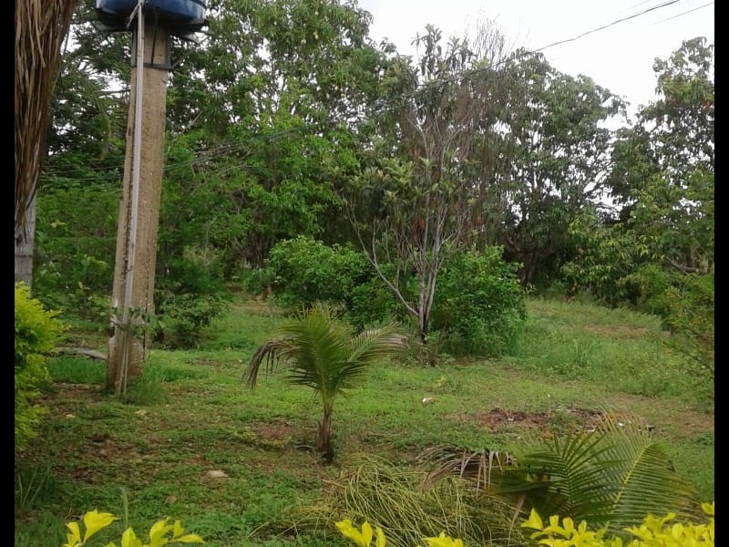 Chácara à venda Centro com 14m² e 2 quartos por R$ 400.000 - 1424031286-whatsapp-image-2019-12-04-at-17.jpeg