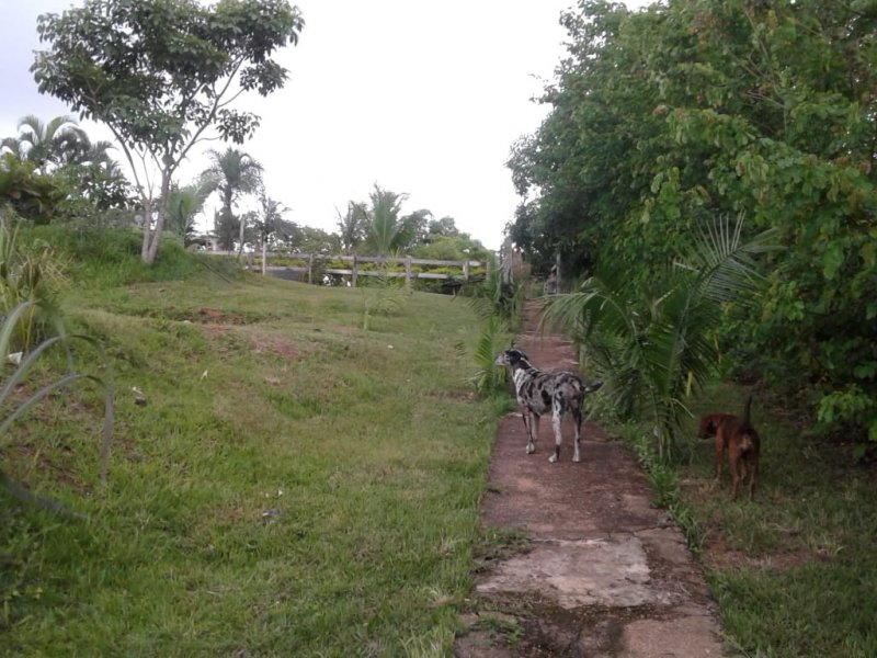 Chácara à venda Centro com 14m² e 2 quartos por R$ 400.000 - 1531723352-whatsapp-image-2019-12-04-at-17.jpeg