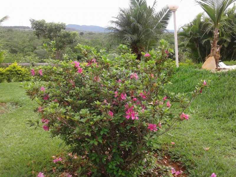 Chácara à venda Centro com 14m² e 2 quartos por R$ 400.000 - 1844550884-whatsapp-image-2019-12-04-at-17.jpeg