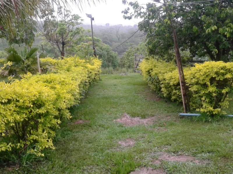Chácara à venda Centro com 14m² e 2 quartos por R$ 400.000 - 281653594-whatsapp-image-2019-12-04-at-17.jpeg