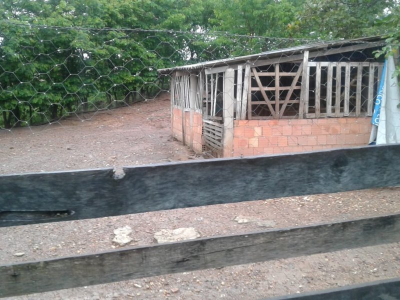 Chácara à venda Centro com 14m² e 2 quartos por R$ 400.000 - 576318273-whatsapp-image-2019-12-04-at-17.jpeg