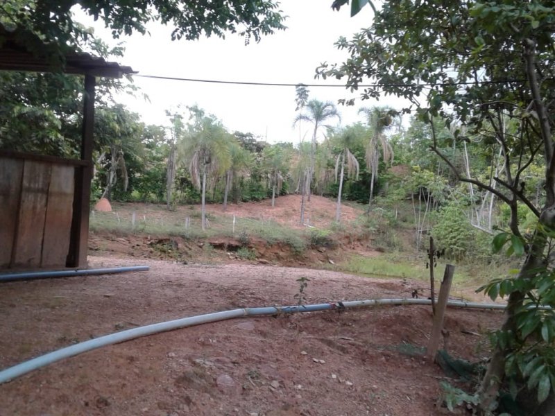 Chácara à venda Centro com 14m² e 2 quartos por R$ 400.000 - 61859849-whatsapp-image-2019-12-04-at-17.jpeg