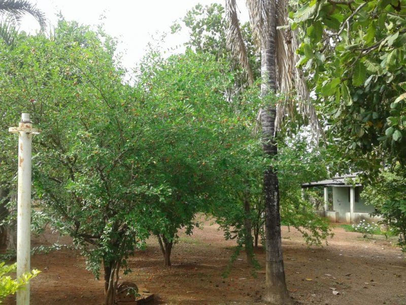 Chácara à venda Centro com 14m² e 2 quartos por R$ 400.000 - 625826034-whatsapp-image-2019-12-04-at-17.jpeg