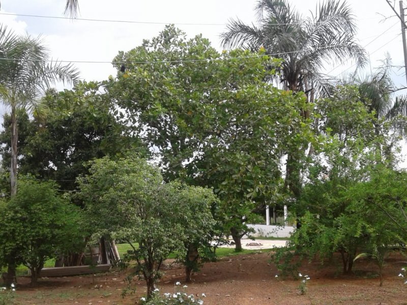 Chácara à venda Centro com 14m² e 2 quartos por R$ 400.000 - 789971272-whatsapp-image-2019-12-04-at-17.jpeg
