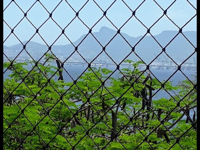 imóvel com 176m² - Jardim Guanabara - Rio de Janeiro