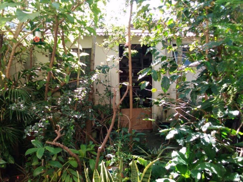 Comercial à venda Vila Santa Rita com 195m² e  quartos por R$ 695.000 - 2013898850-whatsapp-image-2020-01-07-at-21.jpeg