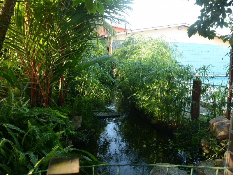 Sítio à venda Parque Santo antonio com 279026m² e 5 quartos por R$ 2.000.000 - 1185843421-12.JPG