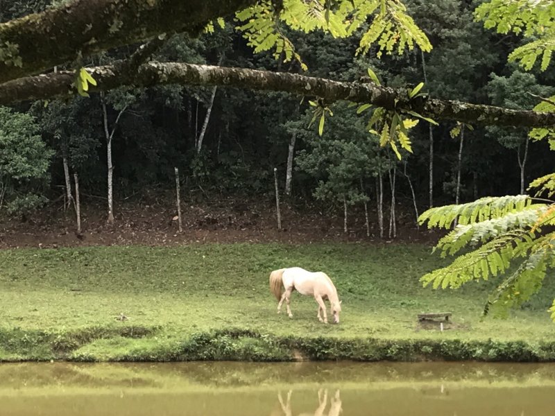 Chácara à venda Vila Nova com 17m² e 5 quartos por R$ 11.000.000 - 1445126386-cc8da97d-9c49-427c-b006-86a743c7b34d.jpeg