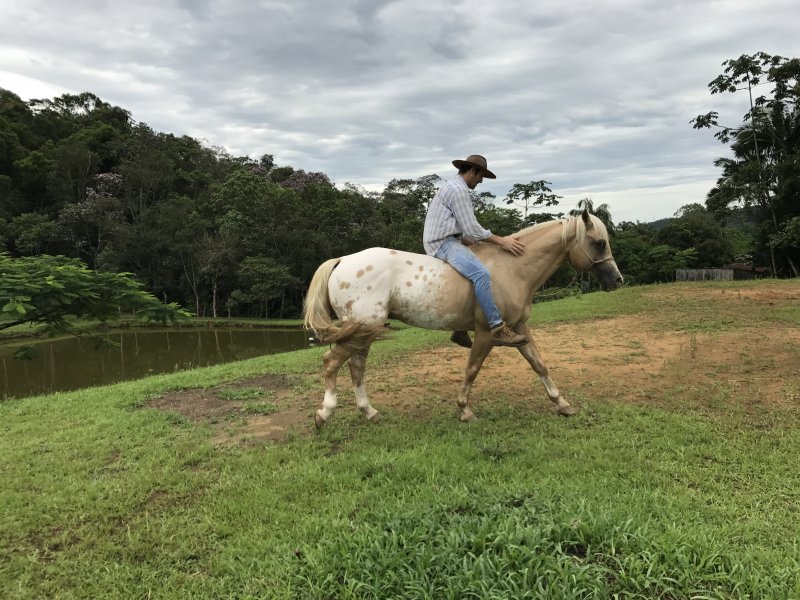 Chácara à venda Vila Nova com 17m² e 5 quartos por R$ 11.000.000 - 188236181-731f0b59-cf88-40f4-8189-37a9d6cc18c5.jpeg