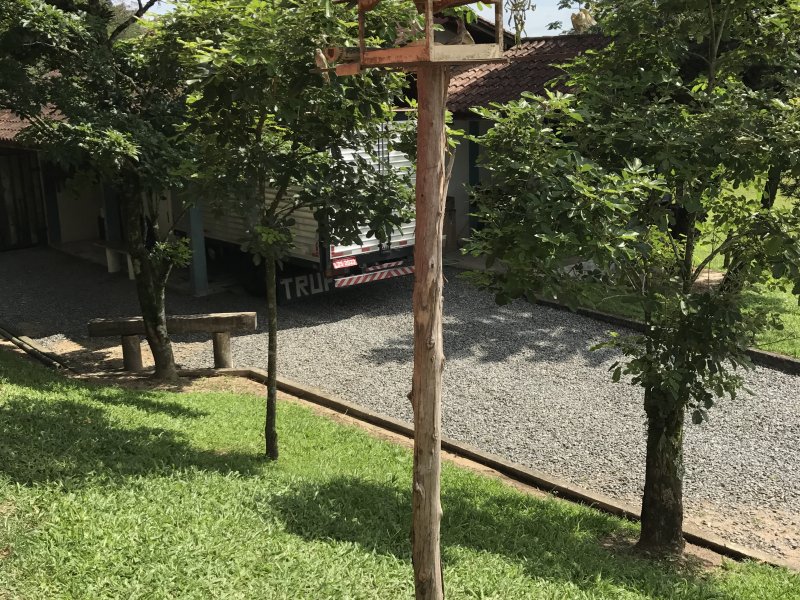 Chácara à venda Vila Nova com 17m² e 5 quartos por R$ 11.000.000 - 897425109-fe28d2c3-31d4-4021-ab3e-1a5659f020c0.jpeg