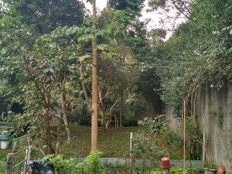 Casa à venda Suíssa com 275m² e 3 quartos por R$ 850.000 - 835871478-vista-parcial-para-os-fundos-1.jpg