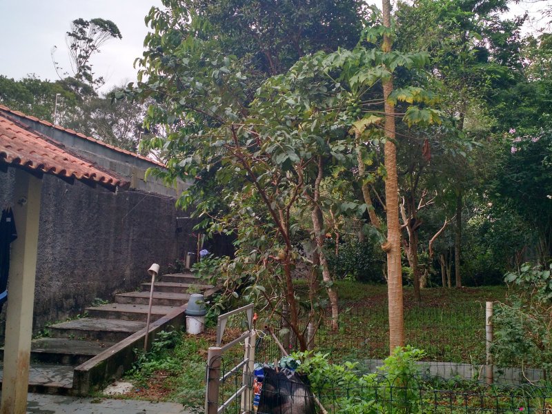 Casa à venda Suíssa com 275m² e 3 quartos por R$ 850.000 - 887324634-vista-parcial-para-os-fundos-2.jpg