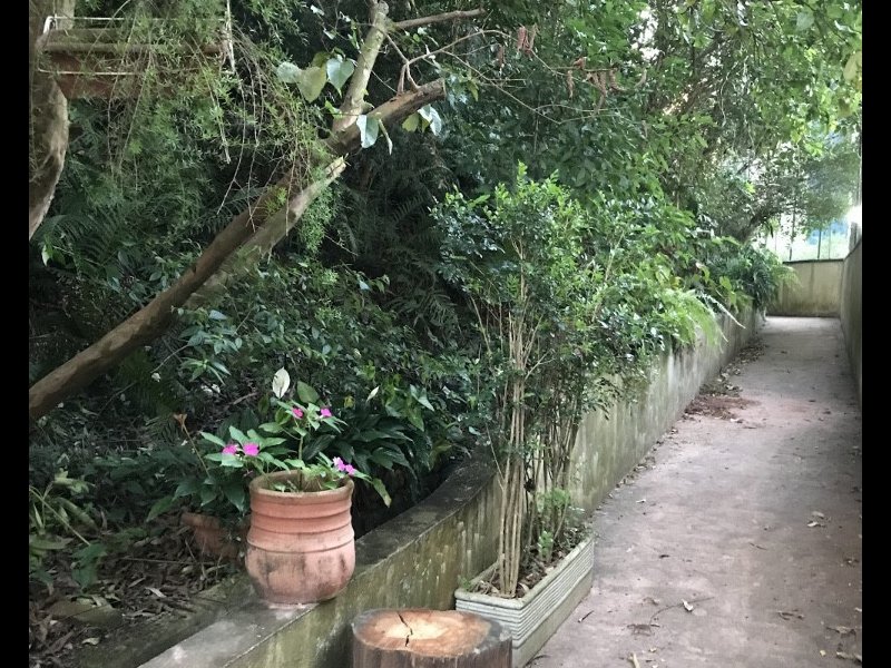 Apartamento à venda Vila Indiana com 55m² e 2 quartos por R$ 360.000 - 2065274885-c8e5ecef-f42e-4a21-9ff2-c9a94a0a541b.jpeg