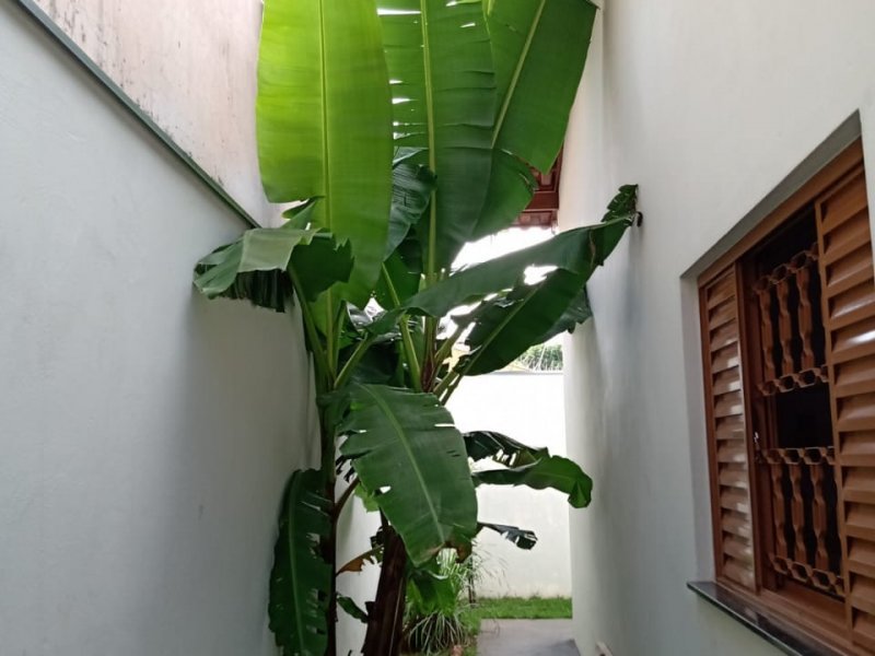 Casa à venda Jardim Acapulco com 124m² e 3 quartos por R$ 420.000 - 410787700-casa-3.jpg