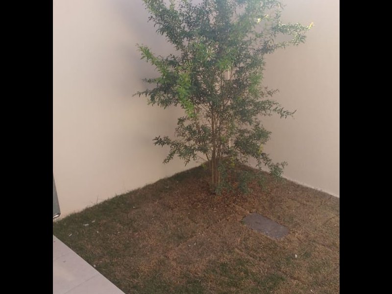 imóvel com 81m² - Dom Pedro I - São José da Lapa