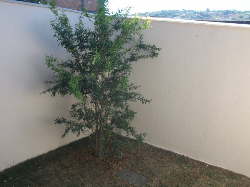 imóvel com 81m² - Dom Pedro I - São José da Lapa