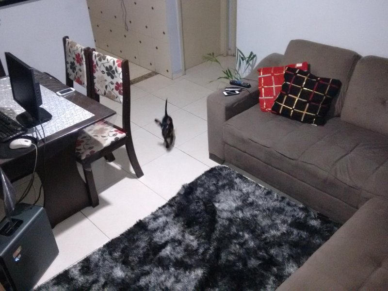 Apartamento à venda Água Chata com 42m² e 2 quartos por R$ 70.000 - 814708538-img-20190531-182900835.jpg