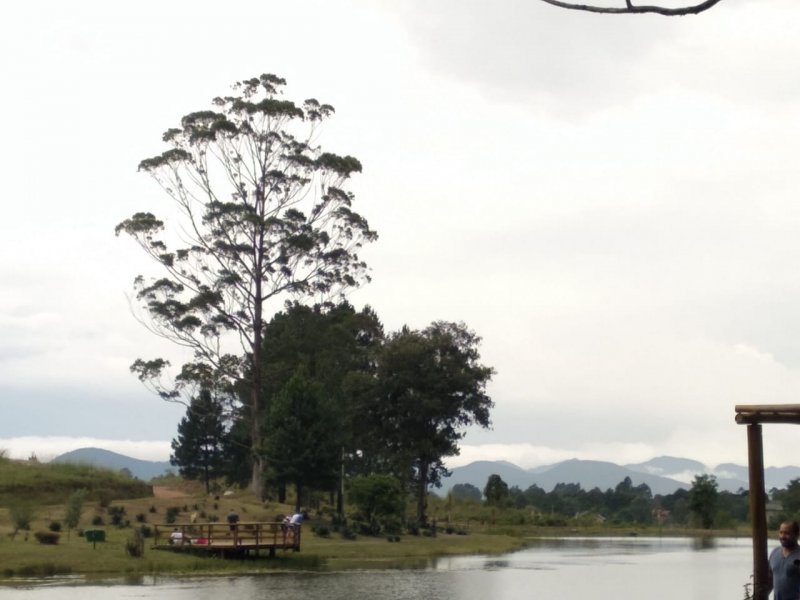 Terreno à venda Lot. Bosque Merhy com 2030m² e  quartos por R$ 350.000 - 1948165135-foto3.jpeg