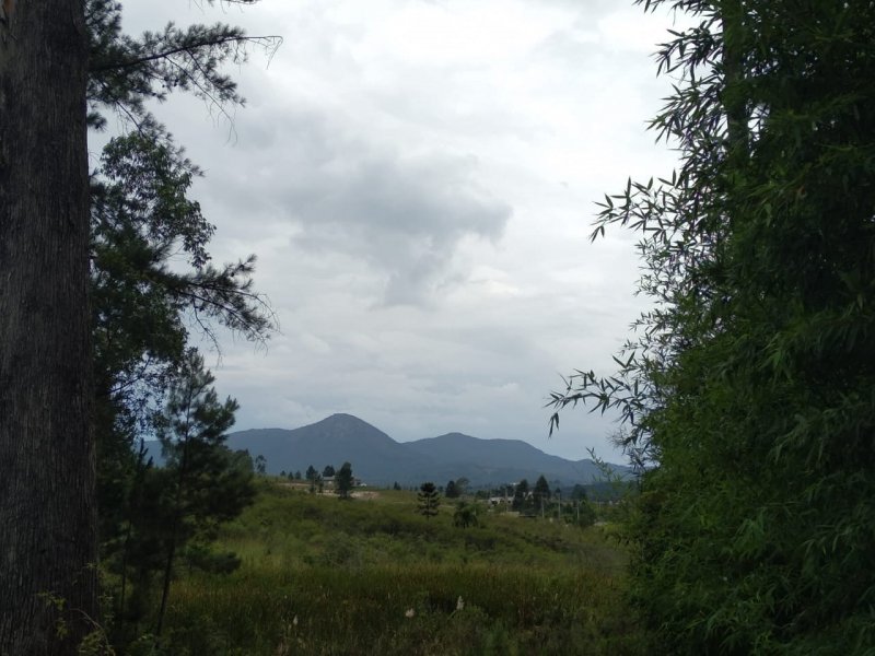 Terreno à venda Lot. Bosque Merhy com 2030m² e  quartos por R$ 350.000 - 274616186-foto8.jpeg