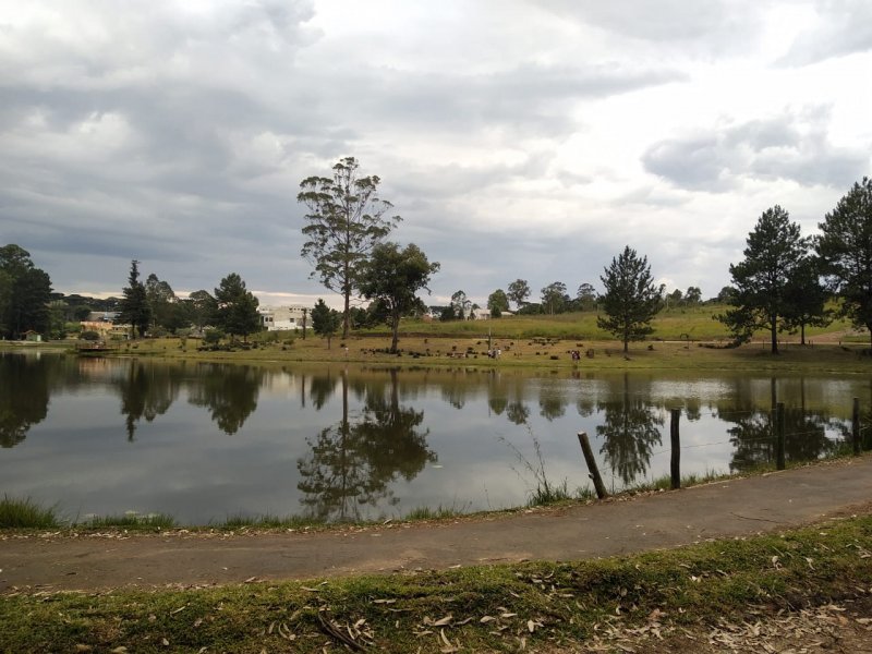 Terreno à venda Lot. Bosque Merhy com 2030m² e  quartos por R$ 350.000 - 554450968-foto9.jpeg