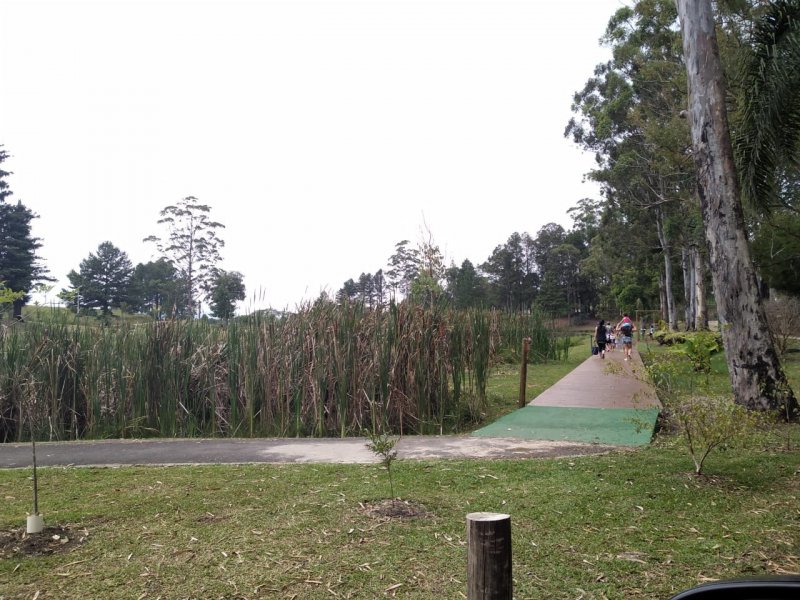 Terreno à venda Lot. Bosque Merhy com 2030m² e  quartos por R$ 350.000 - 555047366-foto4.jpeg
