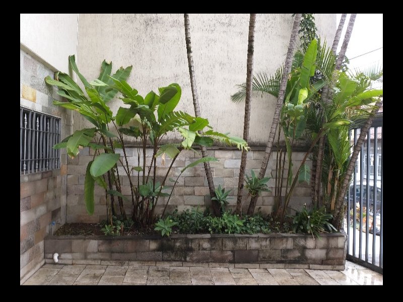 Comercial à venda Vila Maria Alta com 330m² e  quartos por R$ 1.000.000 - 364607192-20191205-182133.jpg