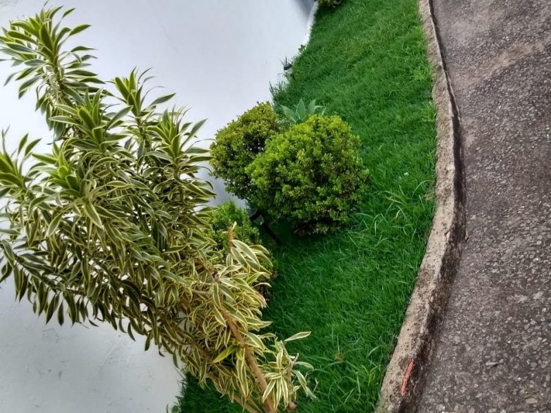 imóvel com 300m² - Parque Dom Pedro II - Campinas