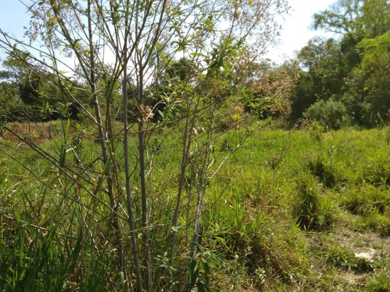 Terreno à venda Chácaras Pousada do Vale com 970m² e  quartos por R$ 175.000 - 660681574-img-20200114-wa0097.jpg