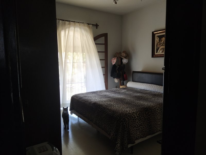 Sítio à venda Providência com 2880m² e 5 quartos por R$ 1.400.000 - 1304705039-img-20191002-132959.jpg
