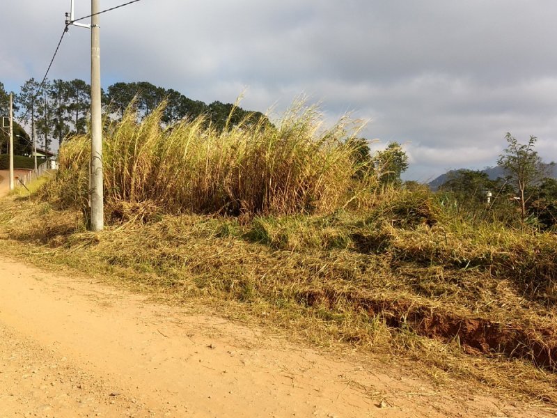 Terreno à venda Chácaras Fernão Dias com 3125m² e  quartos por R$ 200.000 - 1346965004-img-20190728-091904557.jpg