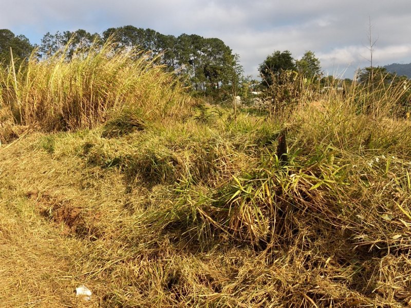 Terreno à venda Chácaras Fernão Dias com 3125m² e  quartos por R$ 200.000 - 1493975263-img-20190728-091839035.jpg