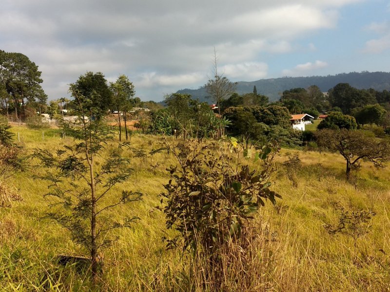 Terreno à venda Chácaras Fernão Dias com 3125m² e  quartos por R$ 200.000 - 1833386476-img-20190728-091822666.jpg