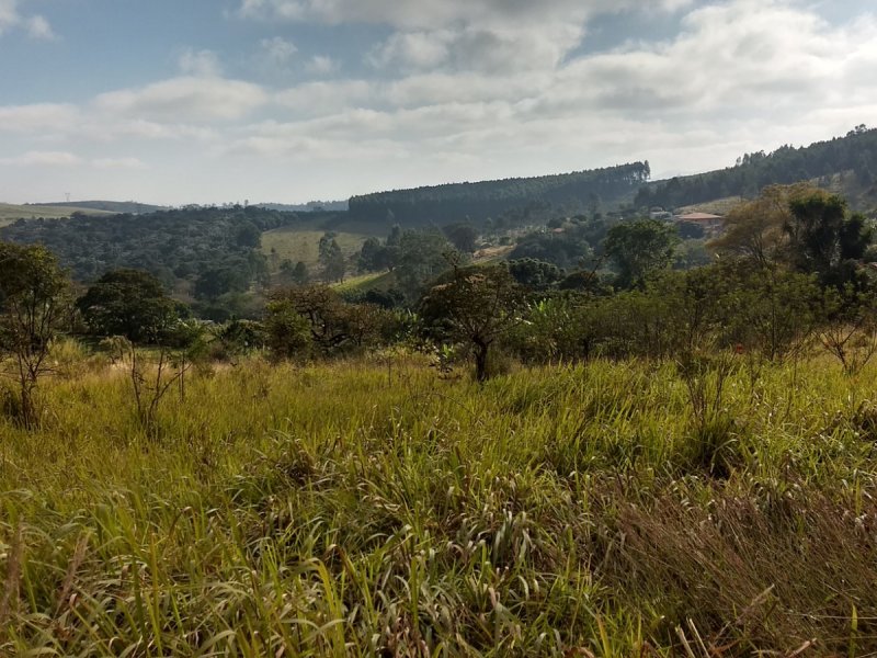 Terreno à venda Chácaras Fernão Dias com 3125m² e  quartos por R$ 200.000 - 955571799-img-20190728-091657525-hdr.jpg