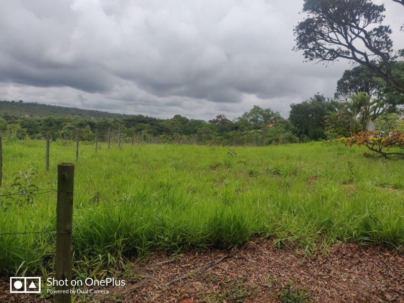 Terreno à venda Centro com 1000m² e  quartos por R$ 160.000 - 1426723601-img-20191207-105042.jpg