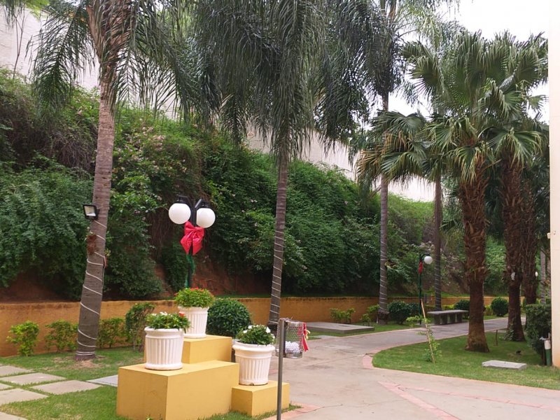 Apartamento à venda Jardim Dom Vieira com 54m² e 3 quartos por R$ 280.000 - 913938023-img-20191217-wa0016.jpg