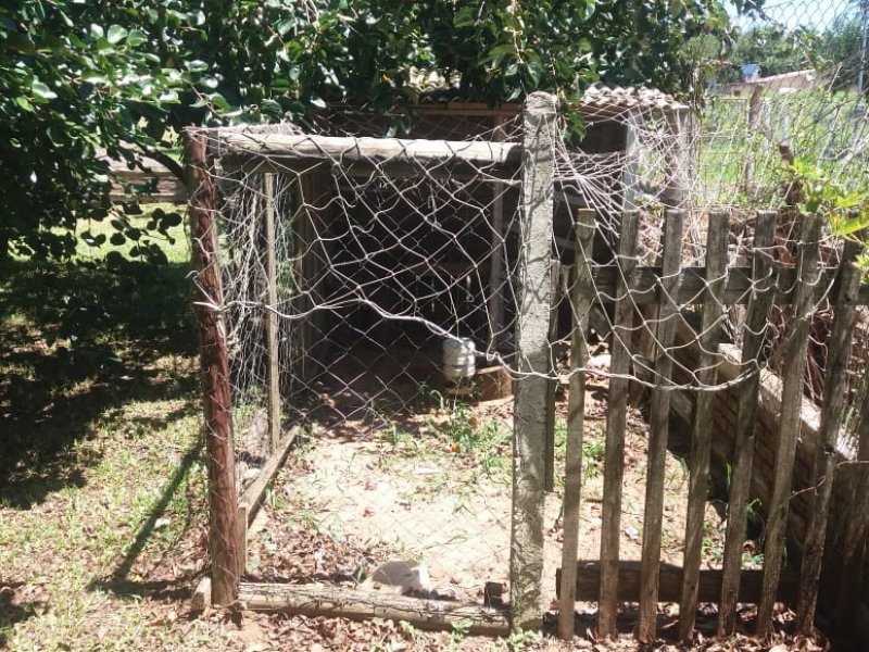 Casa de condomínio à venda Águas Claras com 4400m² e 2 quartos por R$ 425.000 - 541586235-fotos-sitio-084.jpg