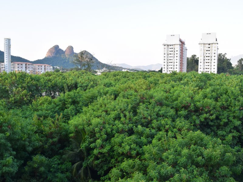Apartamento à venda Jacarepaguá com 49m² e 2 quartos por R$ 290.000 - 1182174322-10.JPG