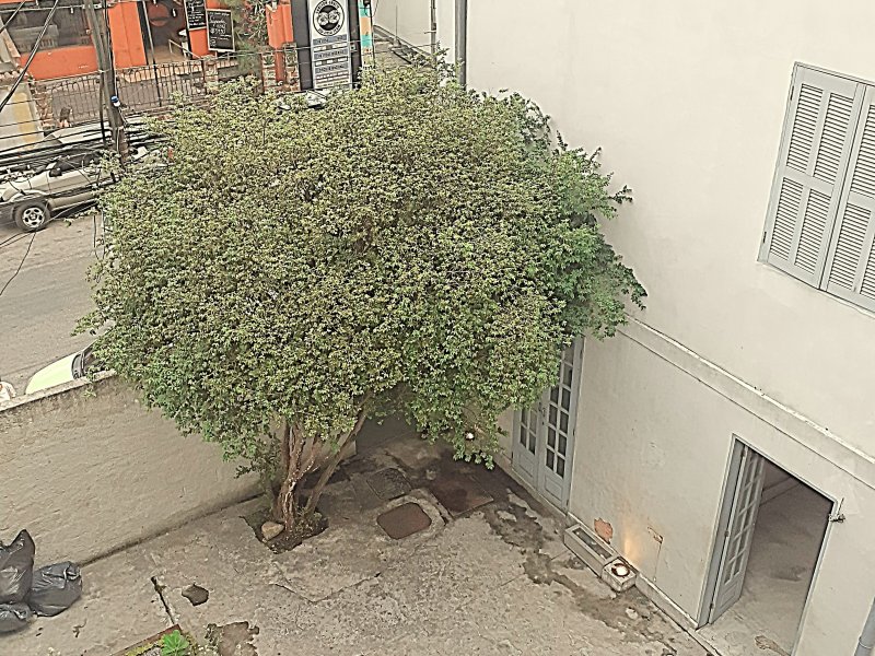 Casa à venda Botafogo com 480m² e 13 quartos por R$ 4.980.000 - 1062212848-1584456957992-adobe.jpg