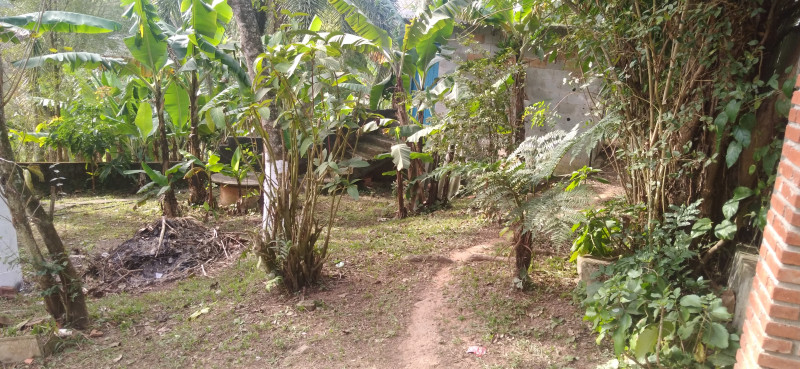 Chácara à venda Tamanduateí 8 com 1000m² e 3 quartos por R$ 287.000 - 1957655366-20220706-143557.jpg