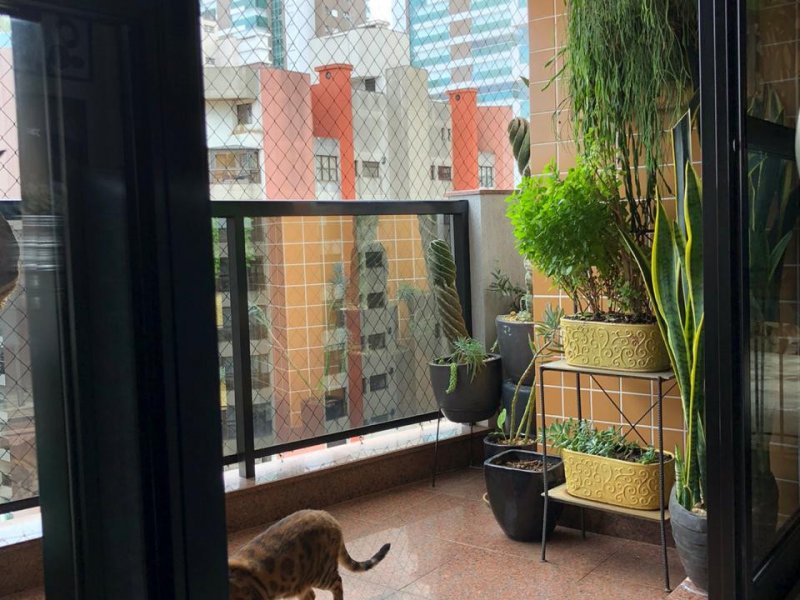 Apartamento à venda Vila Regente Feijó com 127m² e 3 quartos por R$ 950.000 - 1797453658-8c6d1a2c-5b6d-481b-920b-e56543668706.jpeg