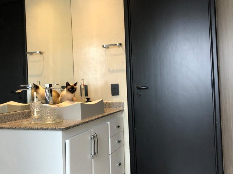 Apartamento à venda Vila Regente Feijó com 127m² e 3 quartos por R$ 950.000 - 928066530-4d7f067d-b2ec-4a65-a555-147f9c700f8f.jpeg